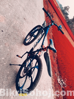 By cycle