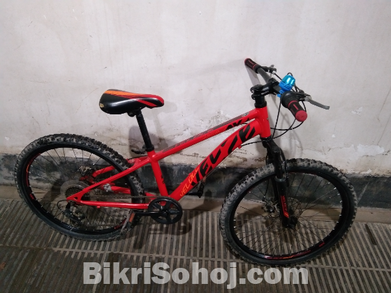 ভেলোস বাইসাইকেল24সাইজ