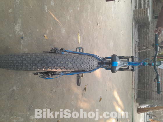 Hero Fat Bike 2024