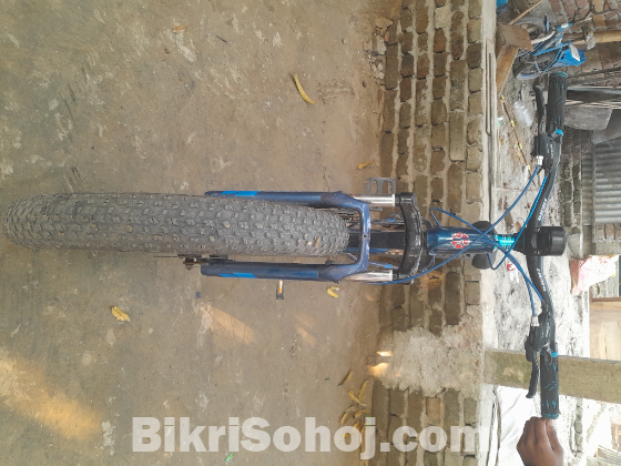Hero Fat Bike 2024