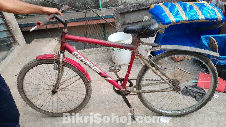 এক্সপোর্টস