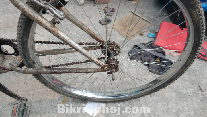 এক্সপোর্টস