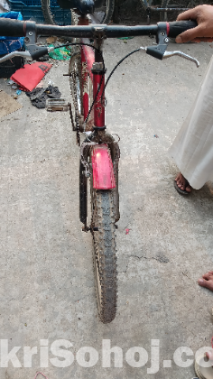 এক্সপোর্টস