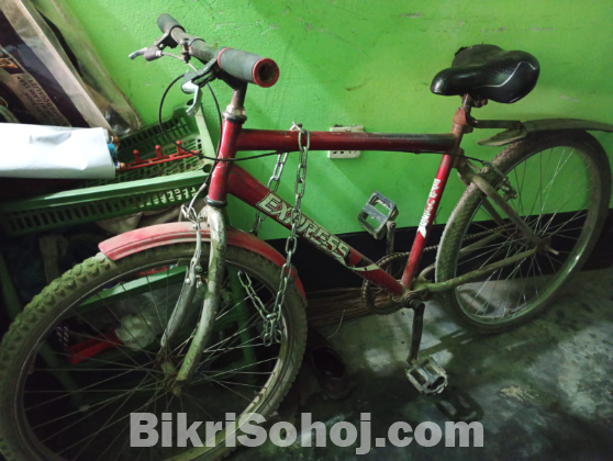 এক্সপোর্টস