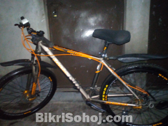 Phonix Boxter MTB 24