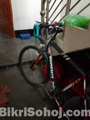 Phonis bicycles