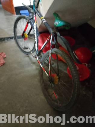 Phonis bicycles