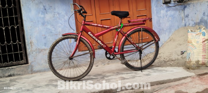 Golden win bicycle
