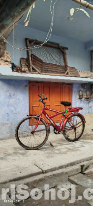 Golden win bicycle