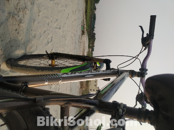 PHOENIX CYCLE