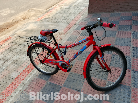 দুরন্ত বাইসাইকেল