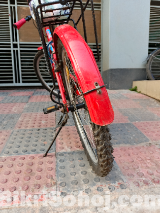 দুরন্ত বাইসাইকেল