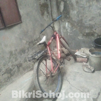 বাইসাইকেল