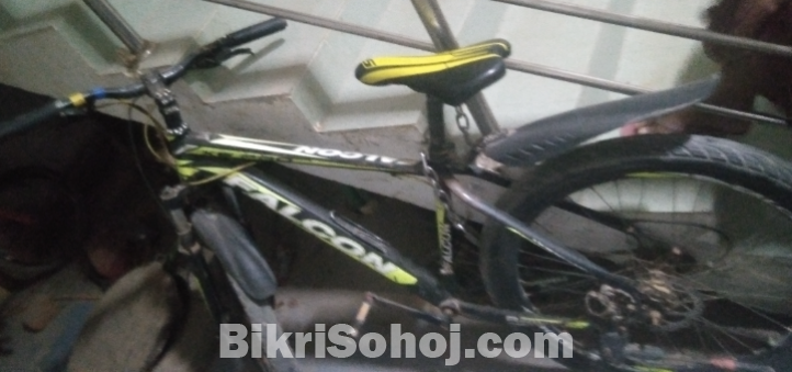 Cycle