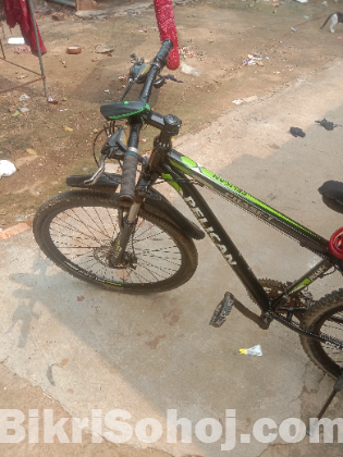পেলিকেন