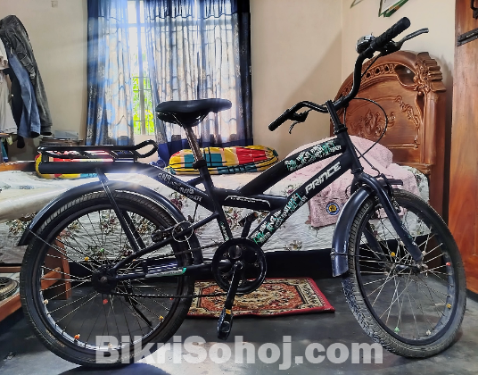 Old Bicycle 24