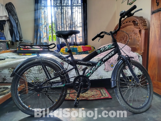 Old Bicycle 24