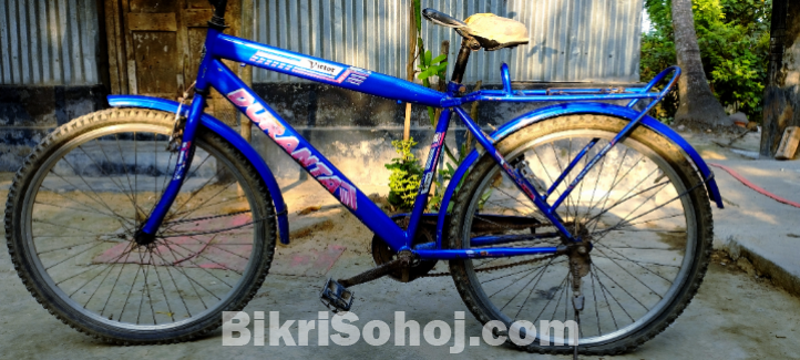 দুরন্ত বাইসাইকেল