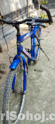 দুরন্ত বাইসাইকেল