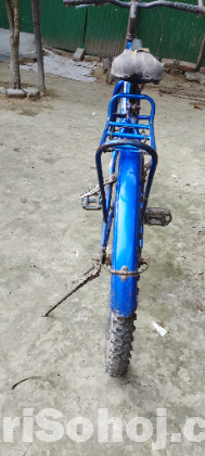 দুরন্ত বাইসাইকেল