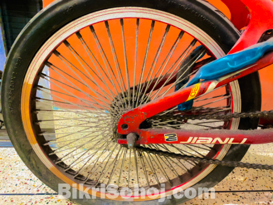 Jianly cycle