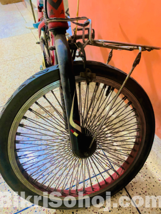Jianly cycle