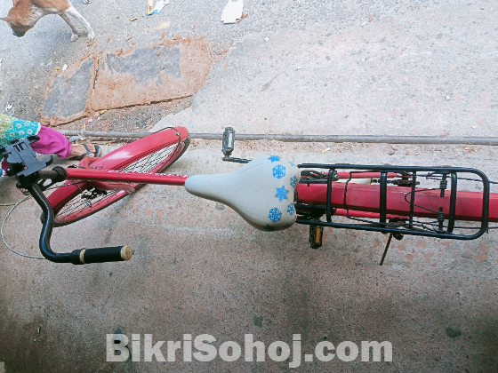 Bicycle