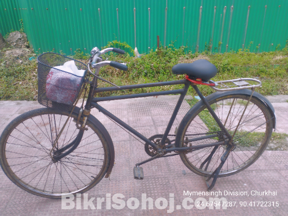 ফনিক্স  সাইকেল