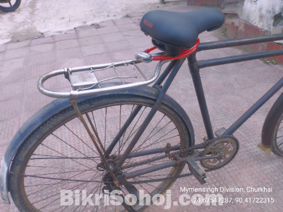 ফনিক্স  সাইকেল