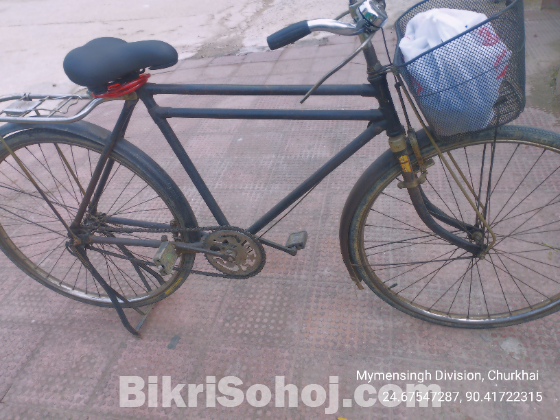 ফনিক্স  সাইকেল