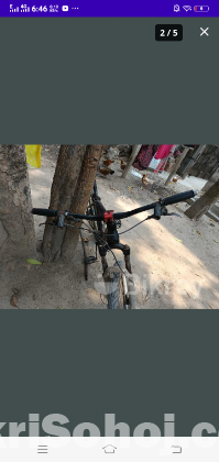 Phoneix cycle