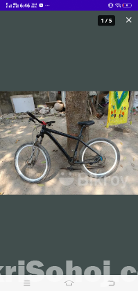 Phoneix cycle
