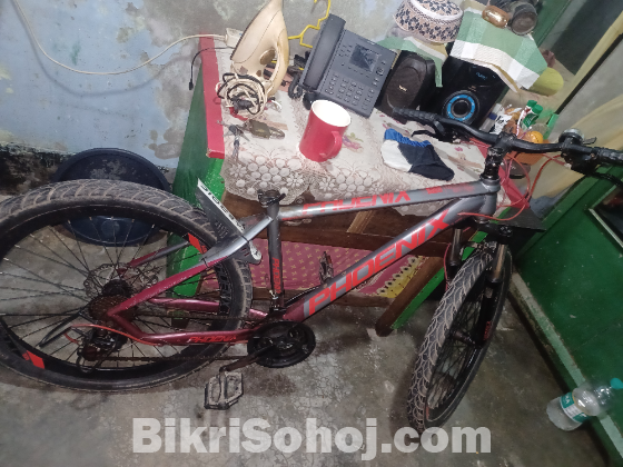 Phoenix cycle