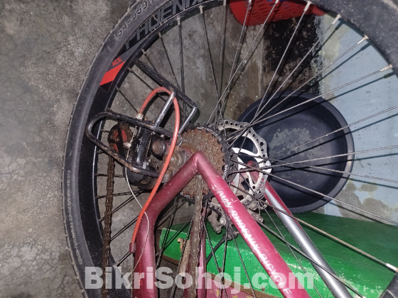 Phoenix cycle