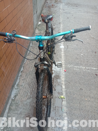 Phoenix cycle