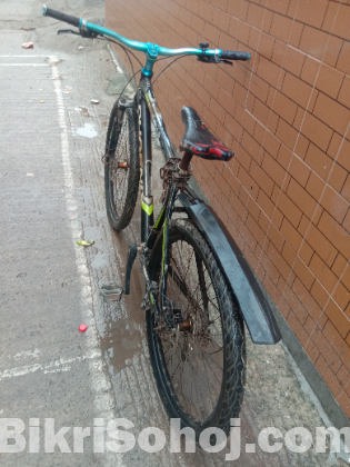 Phoenix cycle