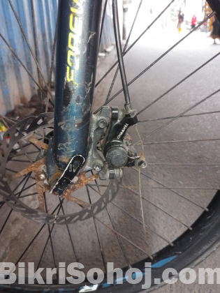 Forever bicycle