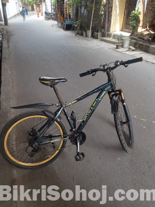 Forever bicycle