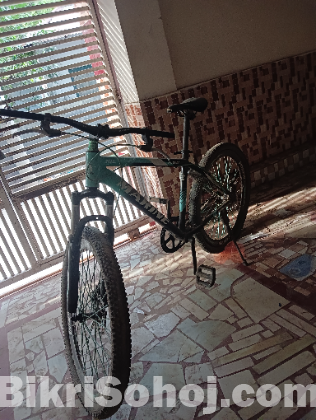 Marine bicycles