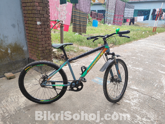 Phoenix cycle