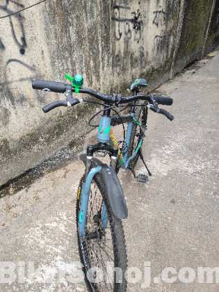 Phoenix cycle
