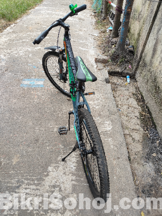 Phoenix cycle