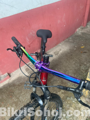 Rockrider Duke pro