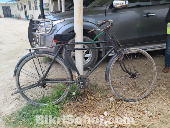 Phoenix cycle