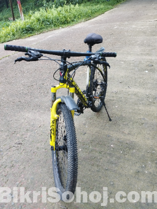 Veloce cycle
