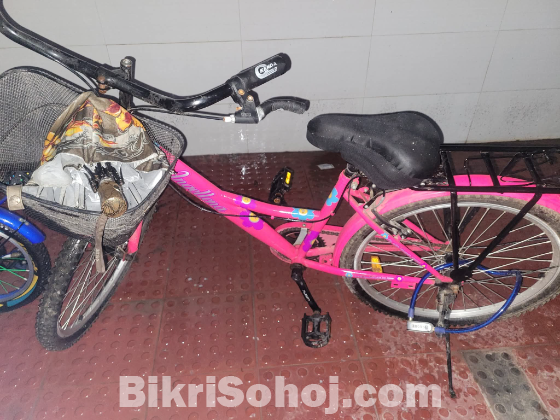 Duranta bicycle 24