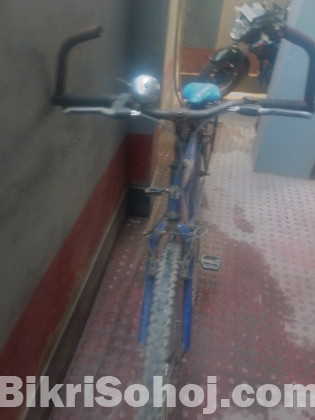 Dynamic bycycle