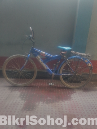 Dynamic bycycle