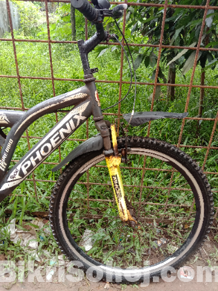 Phonix