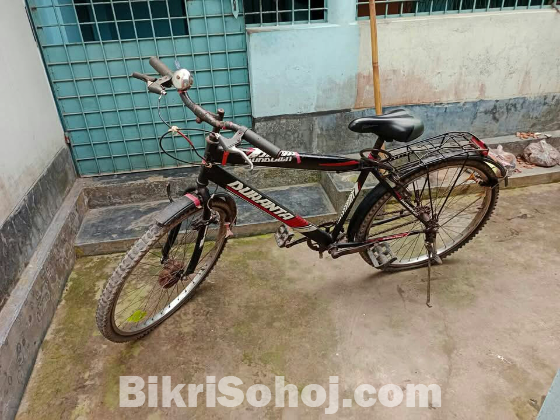 Duranta Black Knight Dream cycle